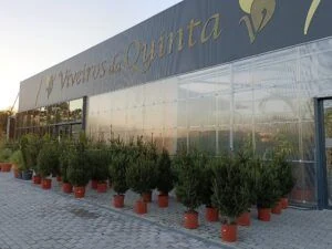 Hortos Quinta